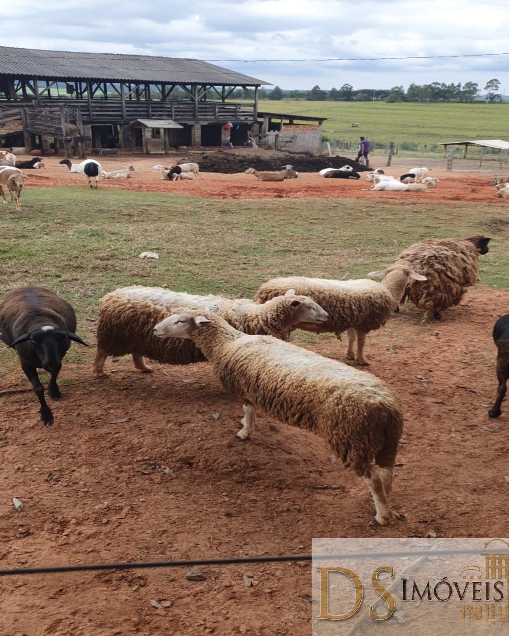 Fazenda em Guaimbê/São Paulo — Ref SY6C2L — Imagem 5