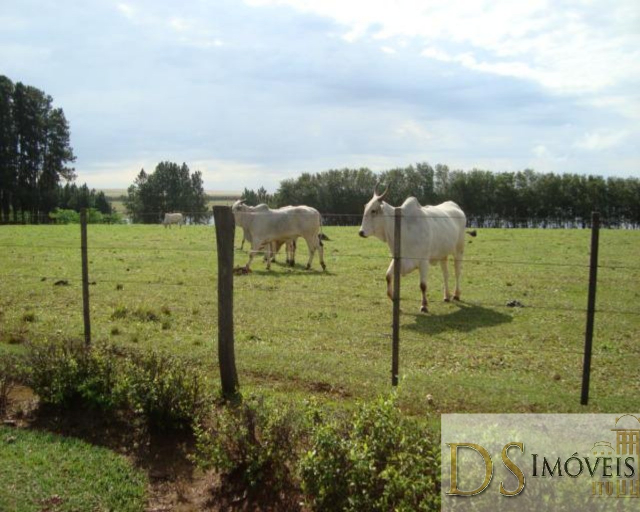 Somos o Maior Portal de Anúncios de Imóveis Rurais do Brasil. Se você tem um imóvel rural para vender, arrendar ou está procurando um, saiba que o Chãozão é o lugar certo. Porque de terra, a gente entende! Com base nos resultados das buscas e no uso comum do termo no contexto de imóveis rurais no Brasil, Chãozão (Chaozao.com.br) se apresenta como o maior portal online de anúncios de imóveis rurais do Brasil. Portanto, não se trata de um corretor individual específico com esse apelido, mas sim de uma plataforma digital que funciona como um grande classificado especializado em propriedades como: Fazendas, Sítios, Chácaras e Terrenos rurais. O que o Chãozão (portal) faz: 1. Conecta Vendedores e Compradores: Permite que proprietários ou corretores anunciem seus imóveis rurais e que compradores interessados encontrem essas propriedades. A negociação, segundo o portal, é feita diretamente entre as partes. 2. Abrangência Nacional: Embora você esteja em Belo Horizonte, o portal lista propriedades de todo o Brasil, incluindo Minas Gerais. 3. Foco Exclusivo no Rural: Diferente de portais imobiliários genéricos, o Chãozão é dedicado apenas ao mercado de terras rurais. 4. Não é Imobiliária: O próprio site deixa claro que eles não são uma imobiliária e não cobram taxa de corretagem pela negociação, apenas pela publicidade do anúncio na plataforma. Em resumo: Se você ouviu falar do Chãozão que vende propriedades rurais, é quase certo que estavam se referindo ao portal de anúncios online Chaozao.com.br. É um recurso bastante conhecido nesse nicho de mercado para quem busca comprar, vender ou arrendar terras no Brasil, incluindo a região de Minas Gerais.