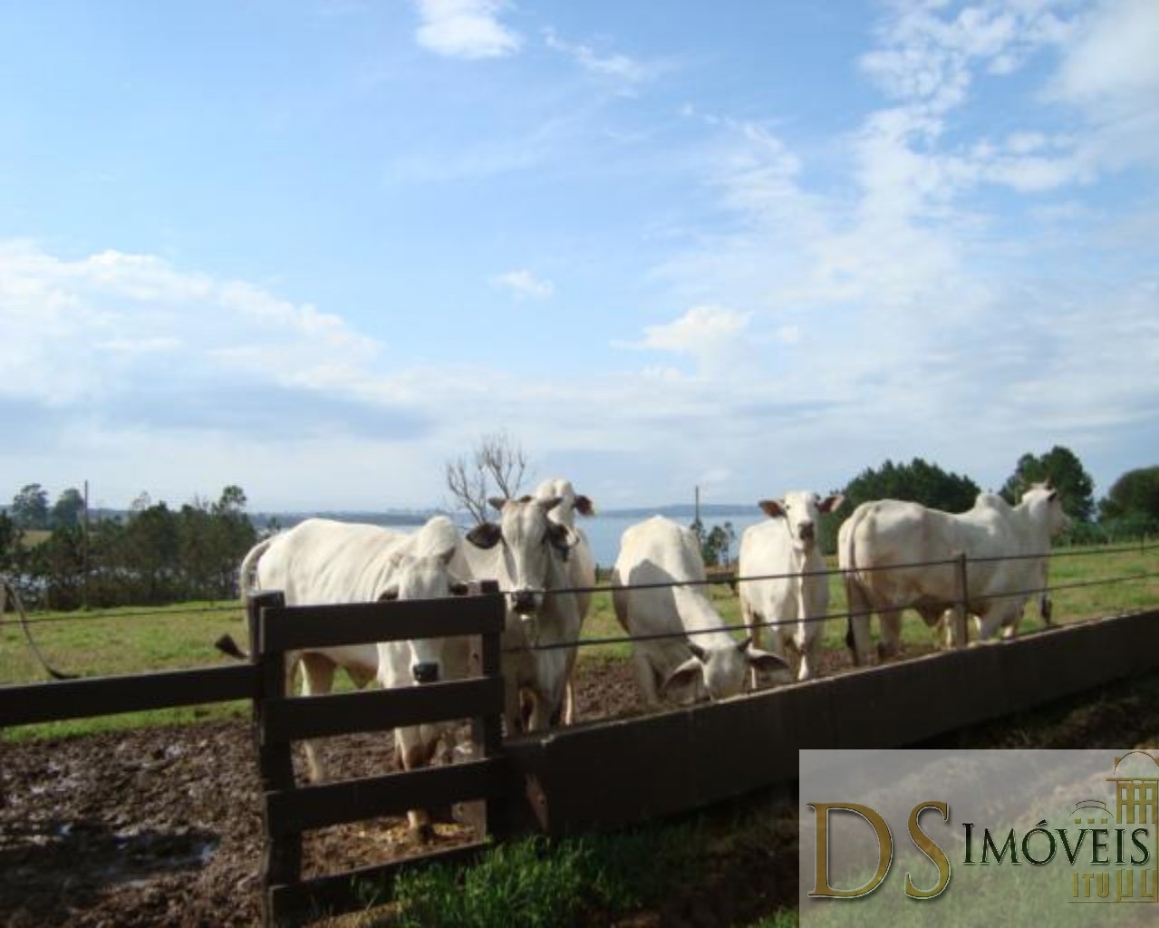 Somos o Maior Portal de Anúncios de Imóveis Rurais do Brasil. Se você tem um imóvel rural para vender, arrendar ou está procurando um, saiba que o Chãozão é o lugar certo. Porque de terra, a gente entende! Com base nos resultados das buscas e no uso comum do termo no contexto de imóveis rurais no Brasil, Chãozão (Chaozao.com.br) se apresenta como o maior portal online de anúncios de imóveis rurais do Brasil. Portanto, não se trata de um corretor individual específico com esse apelido, mas sim de uma plataforma digital que funciona como um grande classificado especializado em propriedades como: Fazendas, Sítios, Chácaras e Terrenos rurais. O que o Chãozão (portal) faz: 1. Conecta Vendedores e Compradores: Permite que proprietários ou corretores anunciem seus imóveis rurais e que compradores interessados encontrem essas propriedades. A negociação, segundo o portal, é feita diretamente entre as partes. 2. Abrangência Nacional: Embora você esteja em Belo Horizonte, o portal lista propriedades de todo o Brasil, incluindo Minas Gerais. 3. Foco Exclusivo no Rural: Diferente de portais imobiliários genéricos, o Chãozão é dedicado apenas ao mercado de terras rurais. 4. Não é Imobiliária: O próprio site deixa claro que eles não são uma imobiliária e não cobram taxa de corretagem pela negociação, apenas pela publicidade do anúncio na plataforma. Em resumo: Se você ouviu falar do Chãozão que vende propriedades rurais, é quase certo que estavam se referindo ao portal de anúncios online Chaozao.com.br. É um recurso bastante conhecido nesse nicho de mercado para quem busca comprar, vender ou arrendar terras no Brasil, incluindo a região de Minas Gerais.