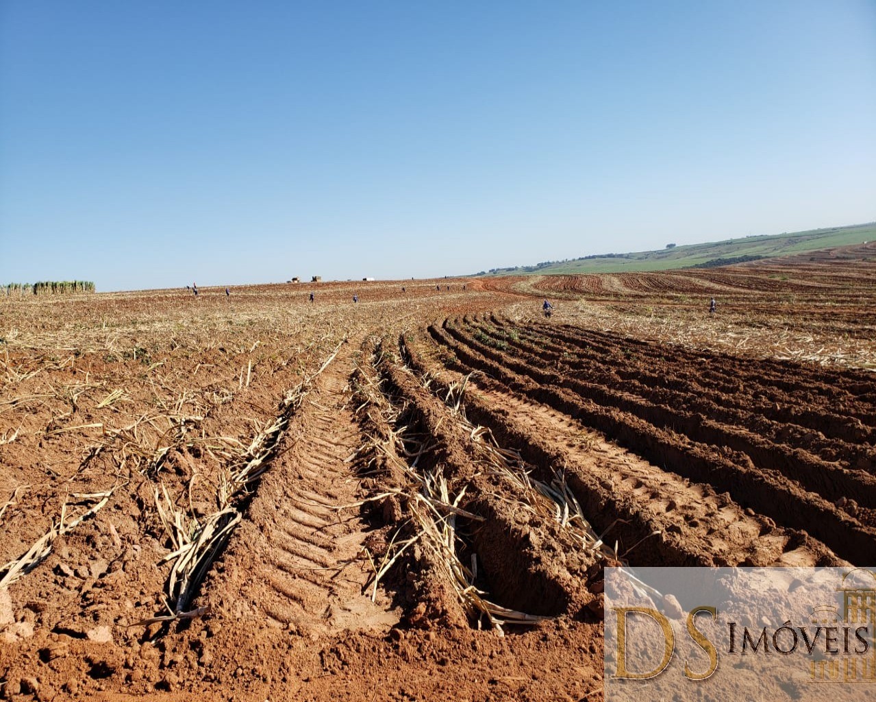 Fazenda em Presidente Prudente/São Paulo — Ref GSOM1W — Imagem 19