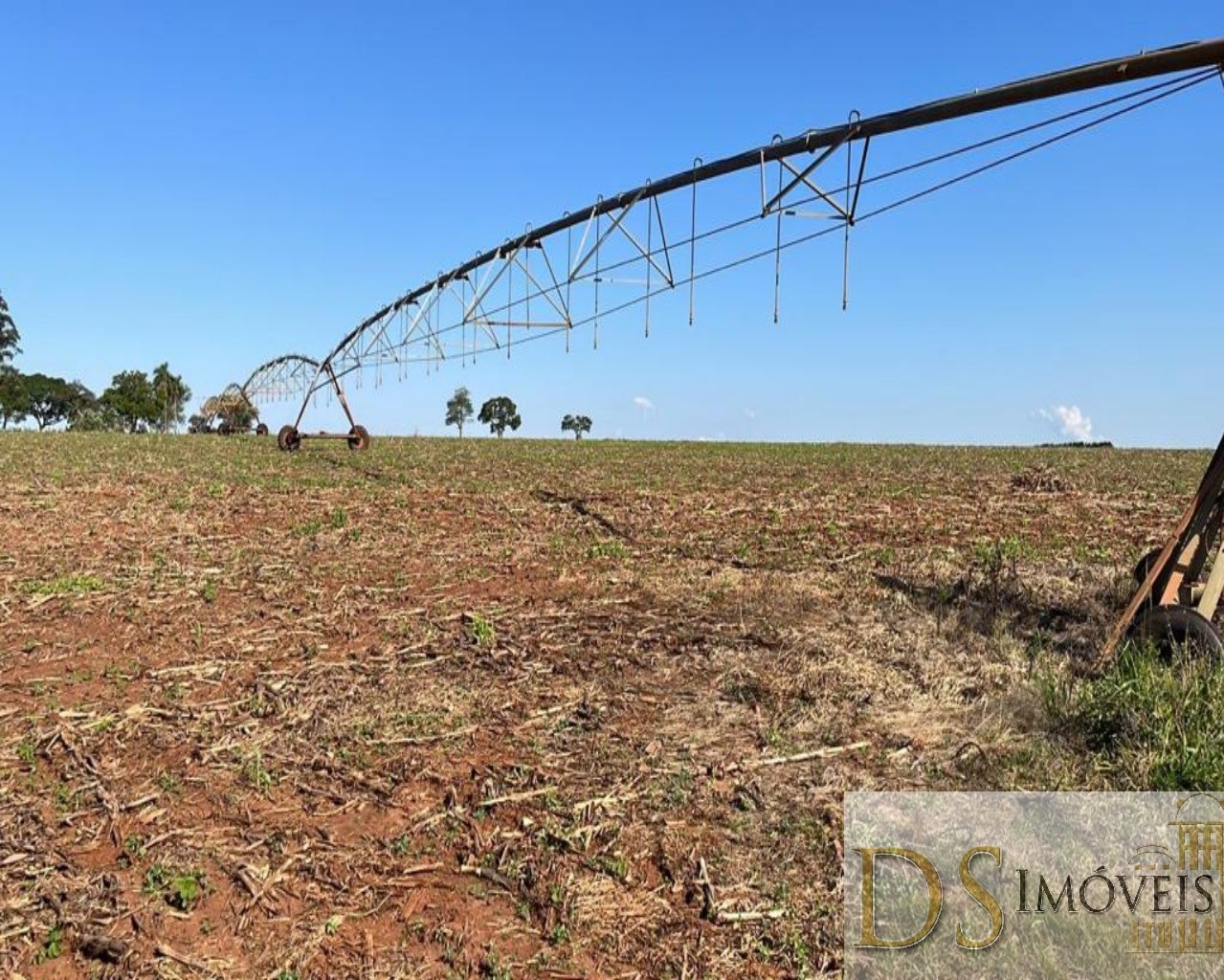 Fazenda em Paranapanema/São Paulo — Ref KB9XP3 — Imagem 6