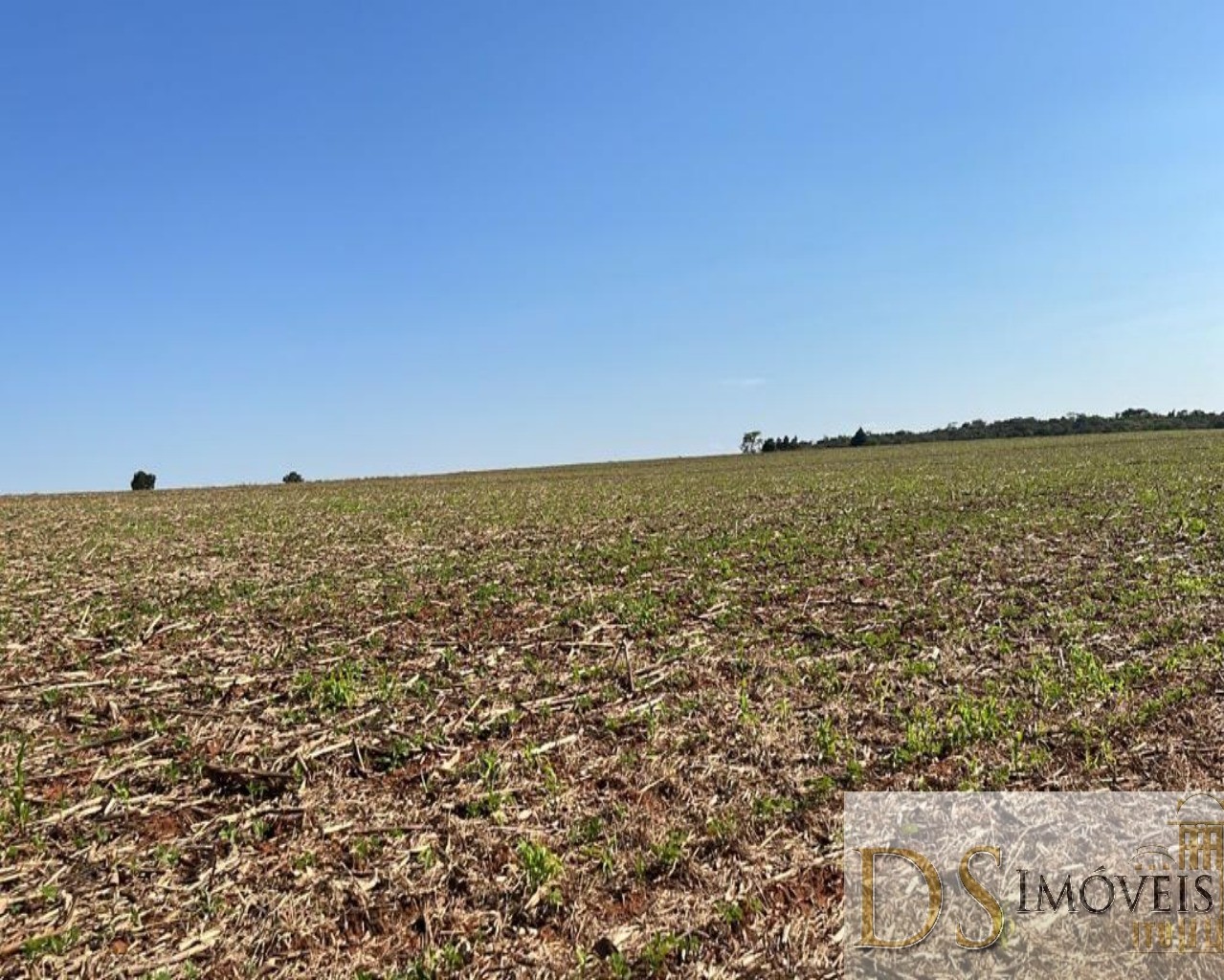 Fazenda em Paranapanema/São Paulo — Ref KB9XP3 — Imagem 12
