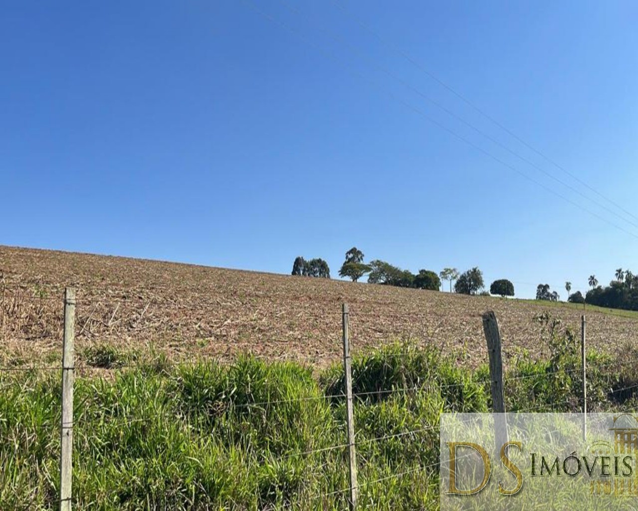 Fazenda em Paranapanema/São Paulo — Ref KB9XP3 — Imagem 11