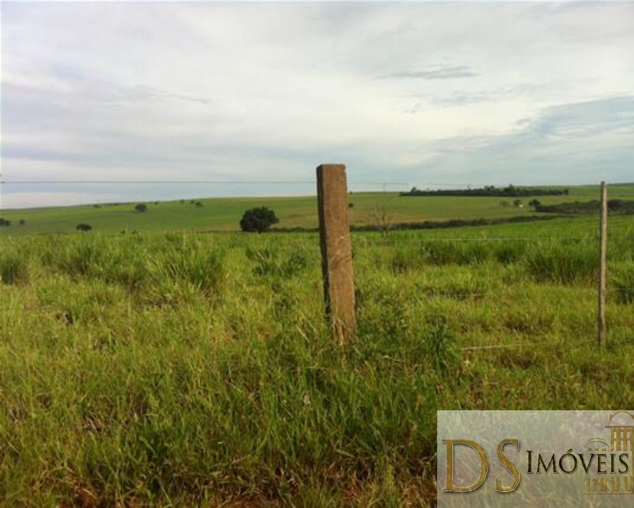 Fazenda em Presidente Prudente/São Paulo — Ref GSOM1W — Imagem 11