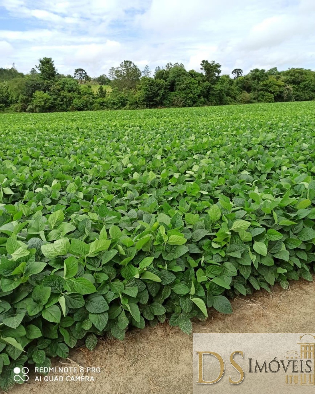 Fazenda em Capão Bonito/São Paulo — Ref JWABEY — Imagem 16