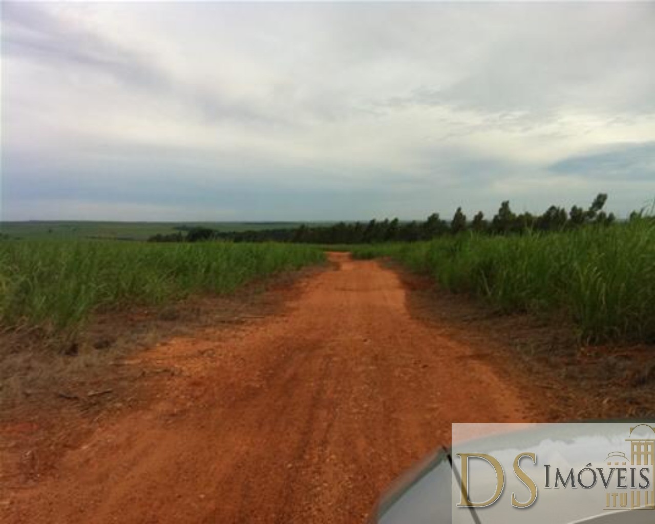 Fazenda em Presidente Prudente/São Paulo — Ref GSOM1W — Imagem 15