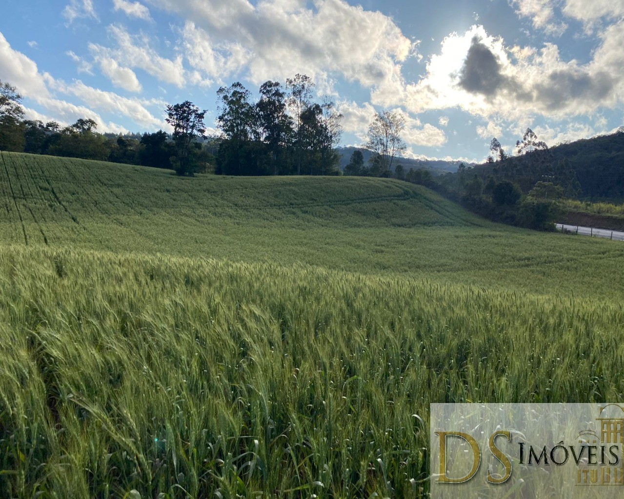 Fazenda em Itapeva/São Paulo — Ref S4ERLX — Imagem 2