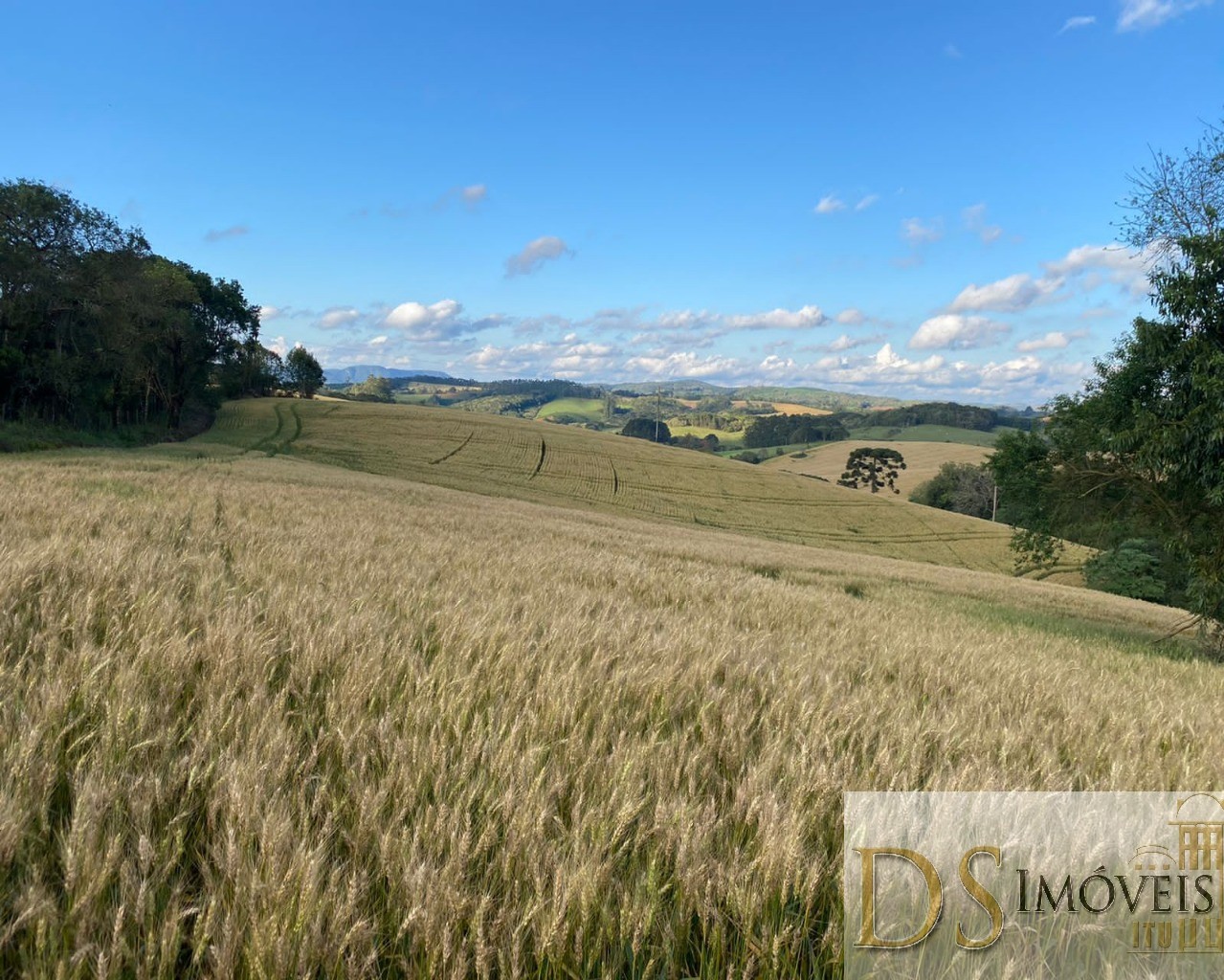 Fazenda em Itapeva/São Paulo — Ref S4ERLX — Imagem 3