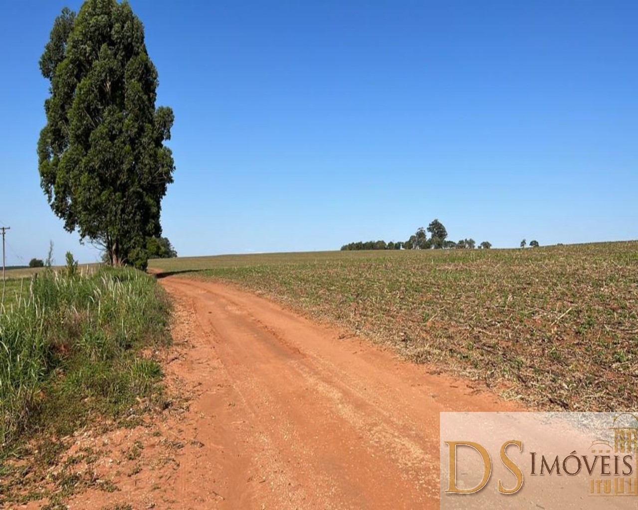 Fazenda em Paranapanema/São Paulo — Ref KB9XP3 — Imagem 8