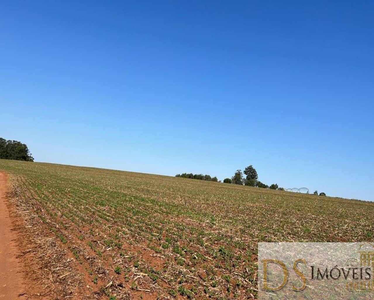 Fazenda em Paranapanema/São Paulo — Ref KB9XP3 — Imagem 13