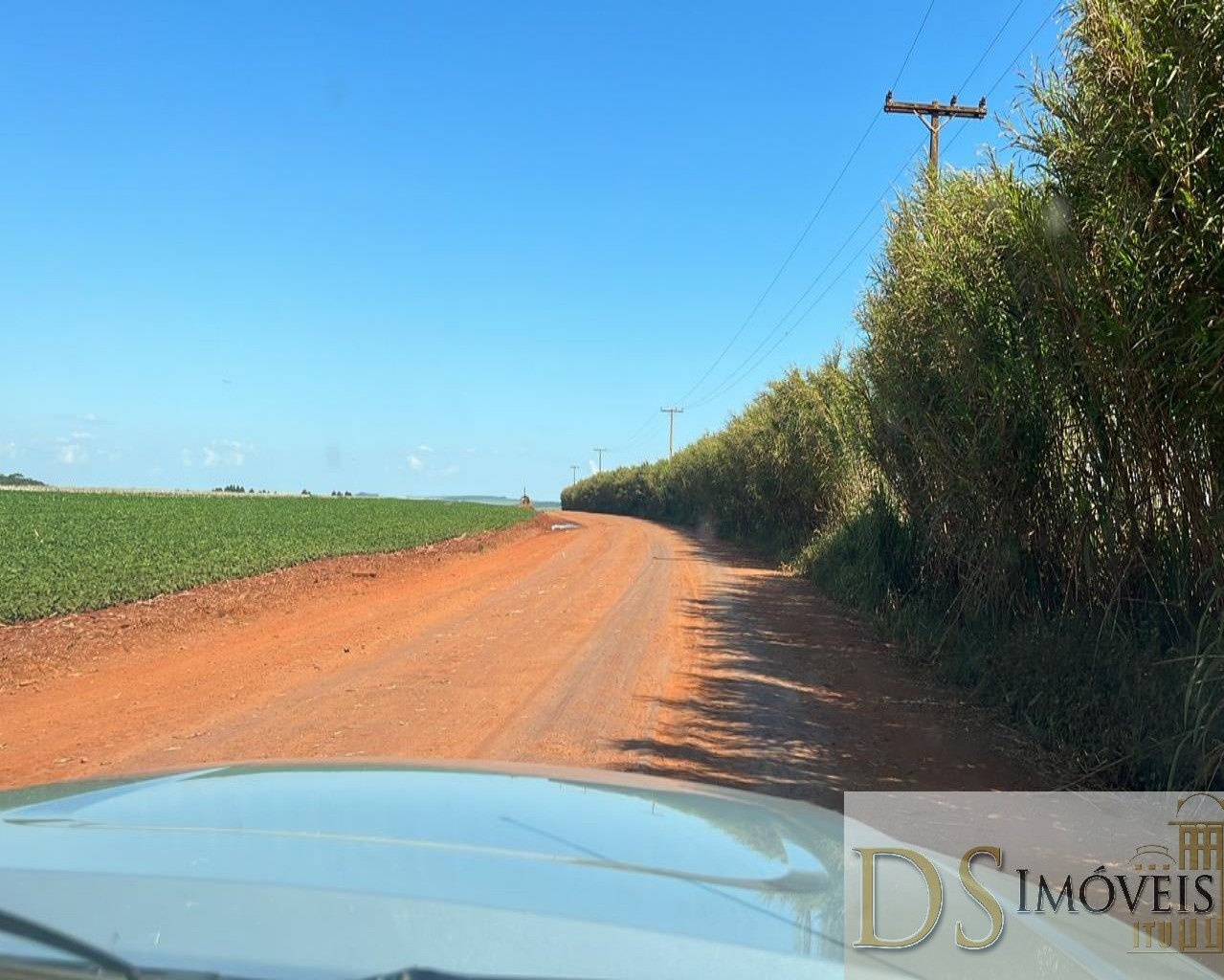 Fazenda em Paranapanema/São Paulo — Ref KB9XP3 — Imagem 7