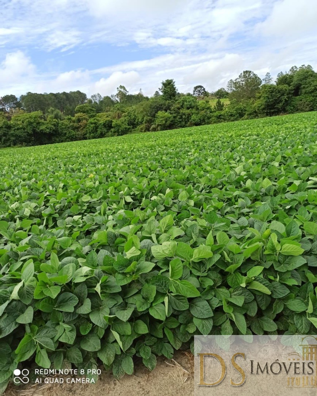 Fazenda em Capão Bonito/São Paulo — Ref JWABEY — Imagem 15