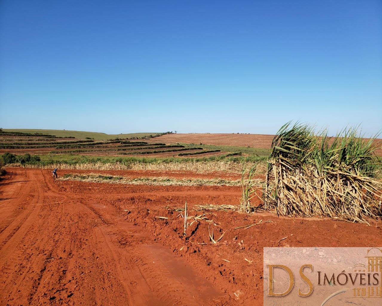 Fazenda em Presidente Prudente/São Paulo — Ref GSOM1W — Imagem 4