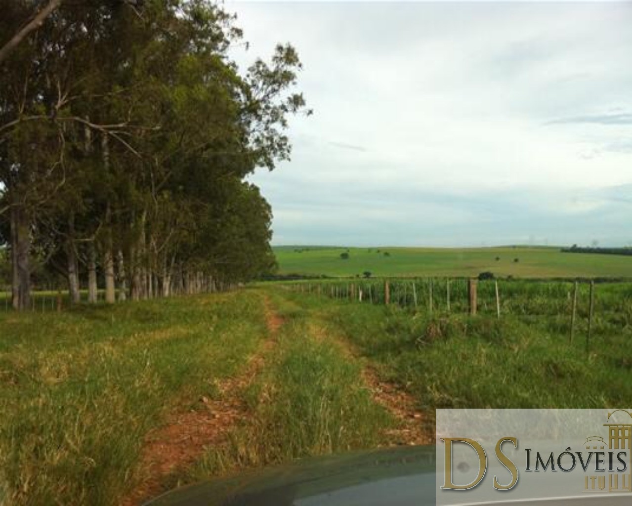 Fazenda em Presidente Prudente/São Paulo — Ref GSOM1W — Imagem 13