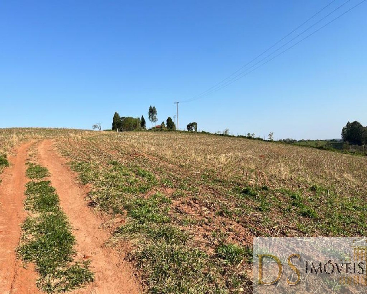 Fazenda em Paranapanema/São Paulo — Ref KB9XP3 — Imagem 9
