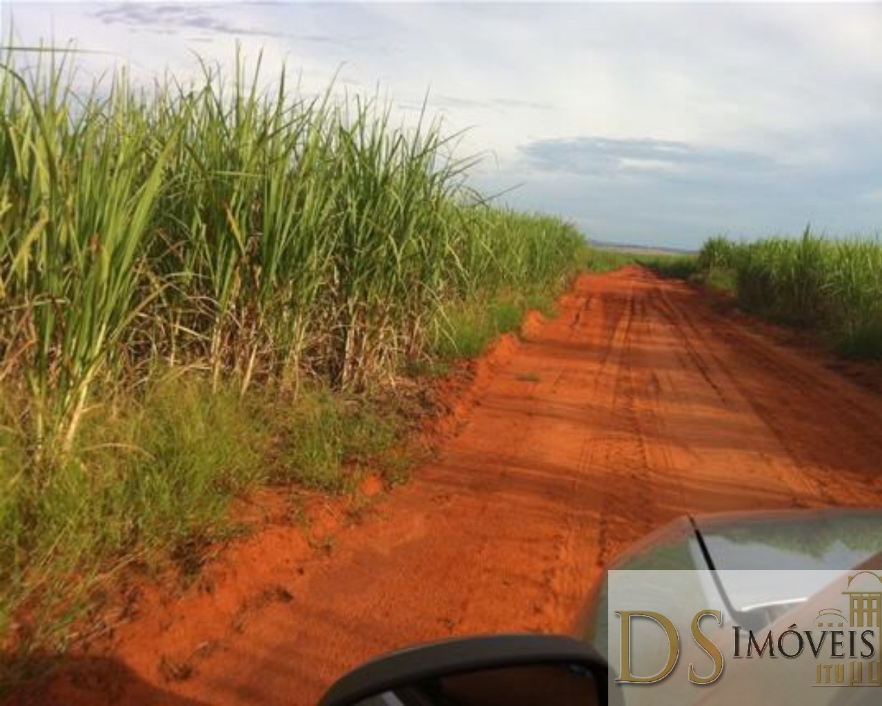 Fazenda em Presidente Prudente/São Paulo — Ref GSOM1W — Imagem 3