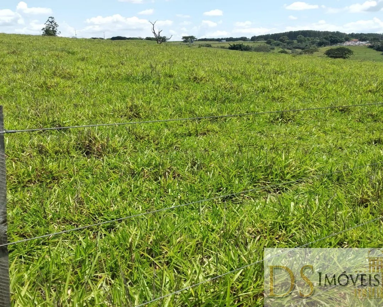 Fazenda em Piratininga/São Paulo — Ref 80F1KJ — Imagem 6