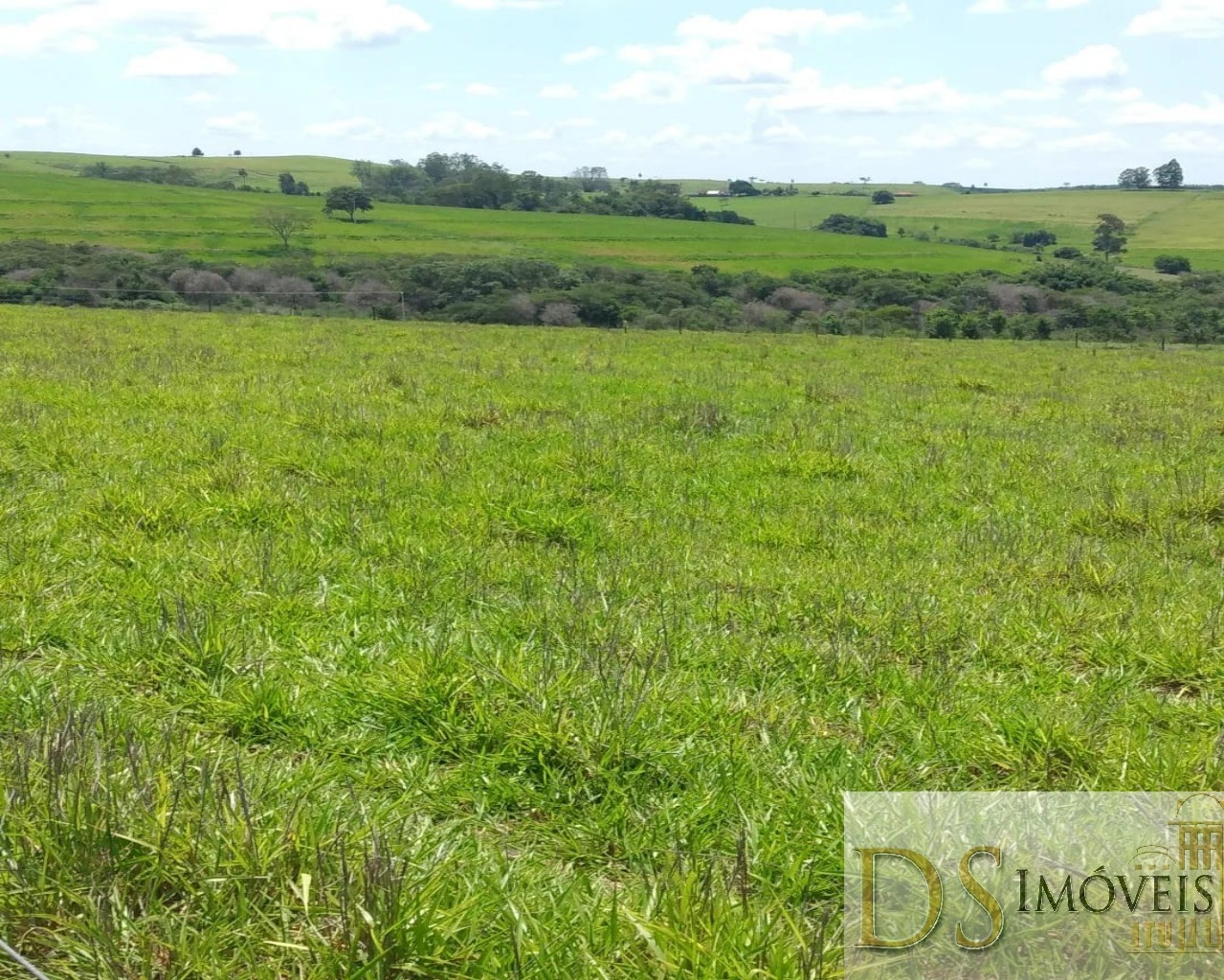 Fazenda em Piratininga/São Paulo — Ref 80F1KJ — Imagem 5