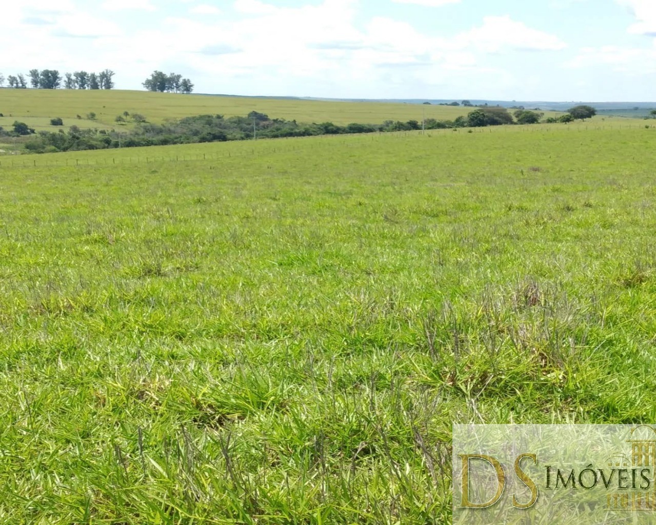 Fazenda em Piratininga/São Paulo — Ref 80F1KJ — Imagem 4