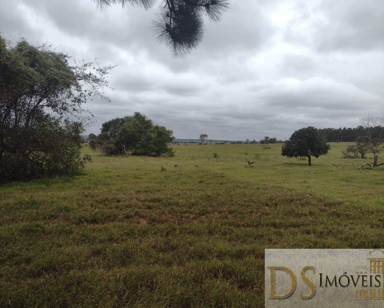 Fazenda em Piratininga/São Paulo — Ref 80F1KJ — Imagem 7