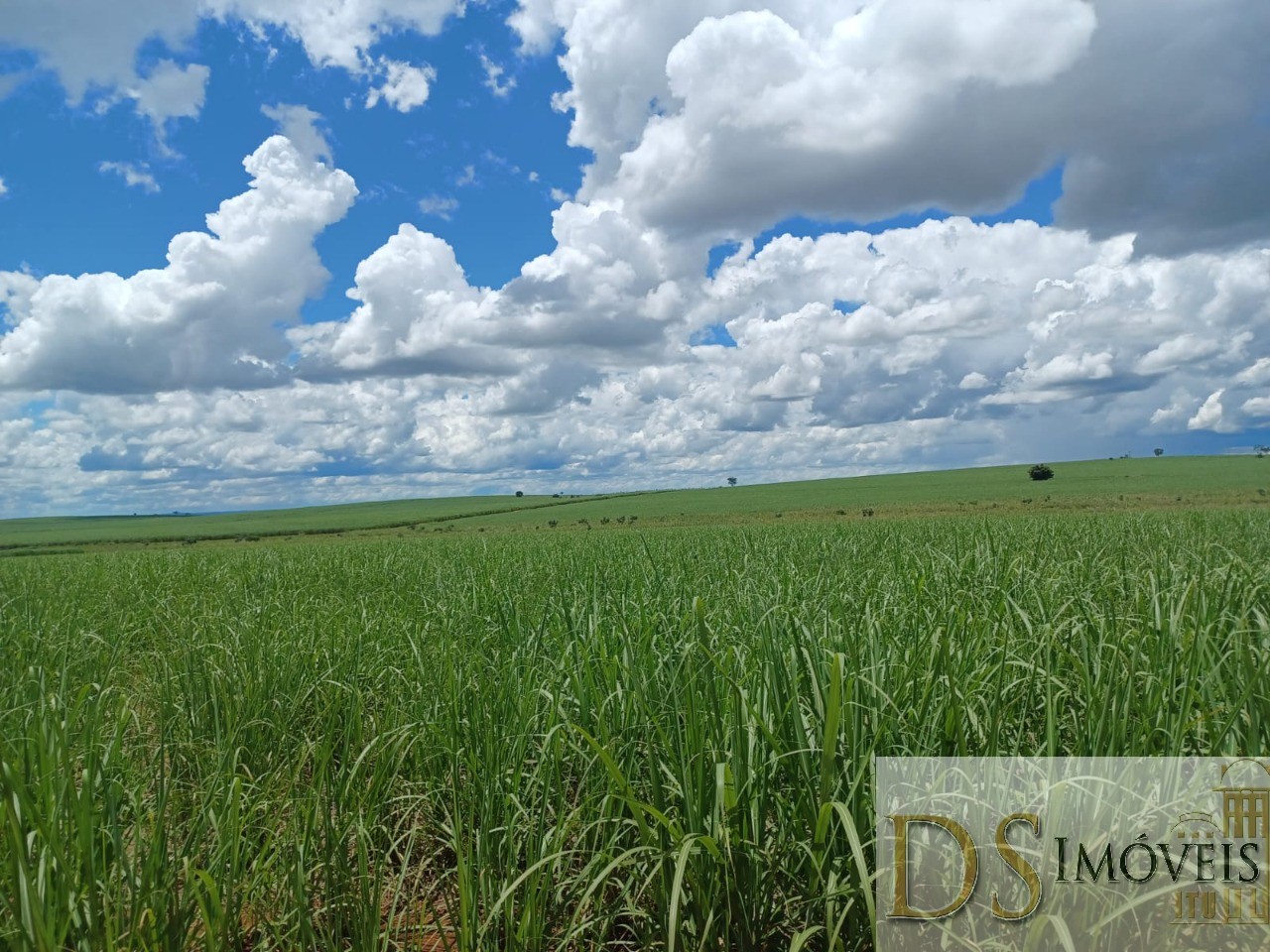 Fazenda em Pacaembu/São Paulo — Ref D8C5MS — Imagem 9