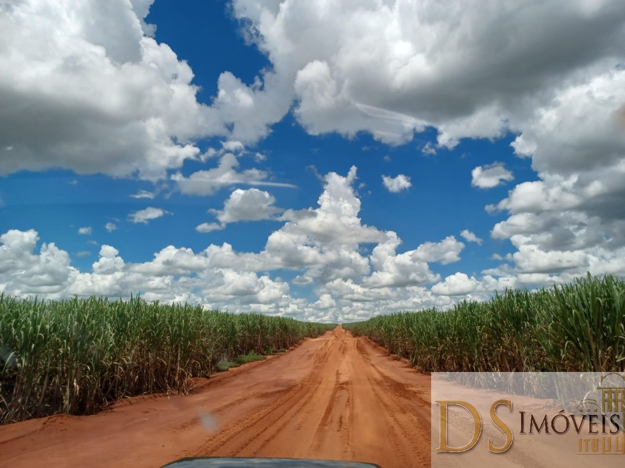 Fazenda em Pacaembu/São Paulo — Ref D8C5MS — Imagem 17