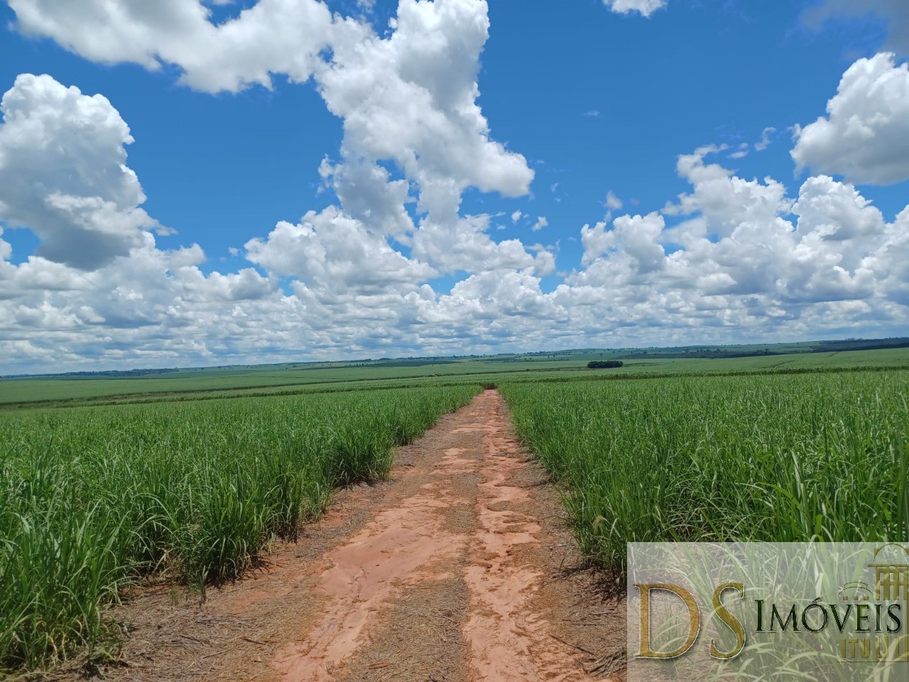 Fazenda em Pacaembu/São Paulo — Ref D8C5MS — Imagem 1