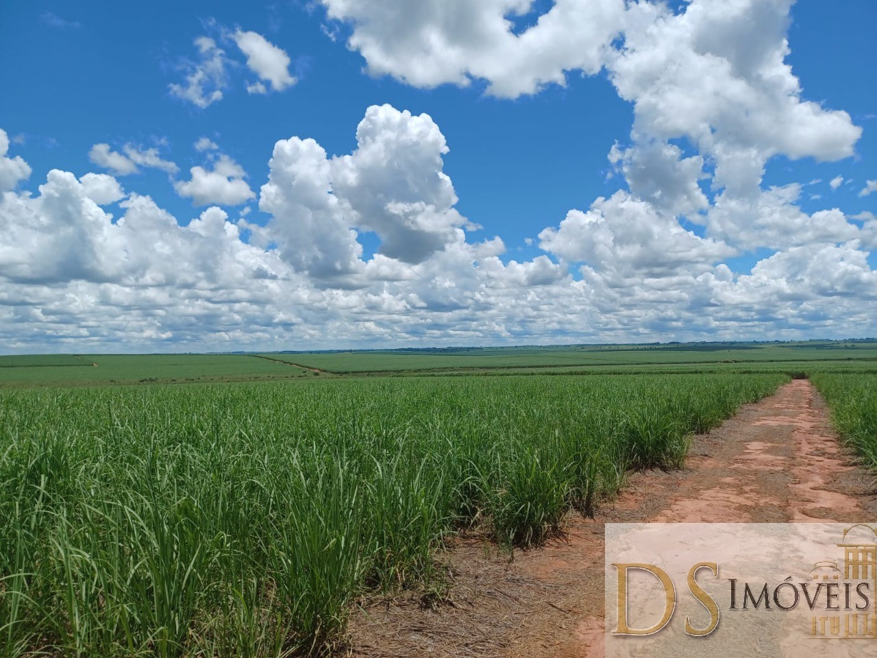 Fazenda em Pacaembu/São Paulo — Ref D8C5MS — Imagem 16