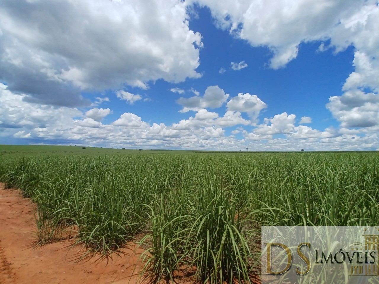 Fazenda em Pacaembu/São Paulo — Ref D8C5MS — Imagem 8