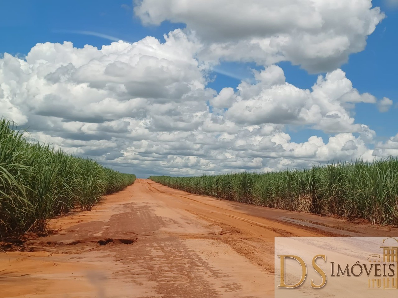 Fazenda em Pacaembu/São Paulo — Ref D8C5MS — Imagem 18