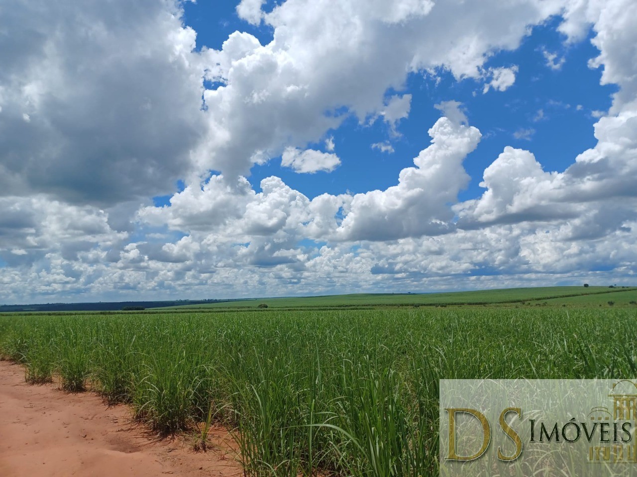 Fazenda em Pacaembu/São Paulo — Ref D8C5MS — Imagem 3