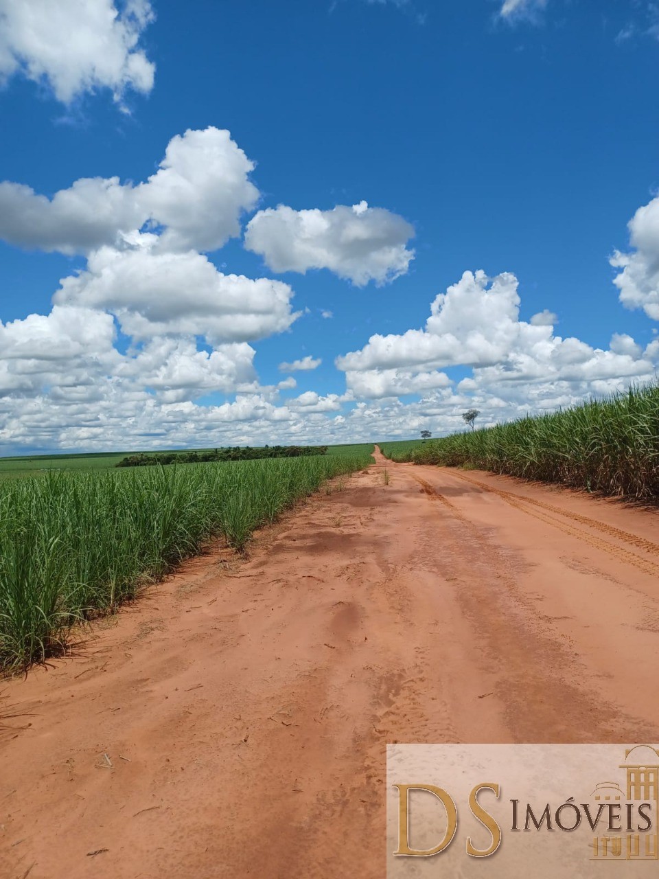 Fazenda em Pacaembu/São Paulo — Ref D8C5MS — Imagem 4
