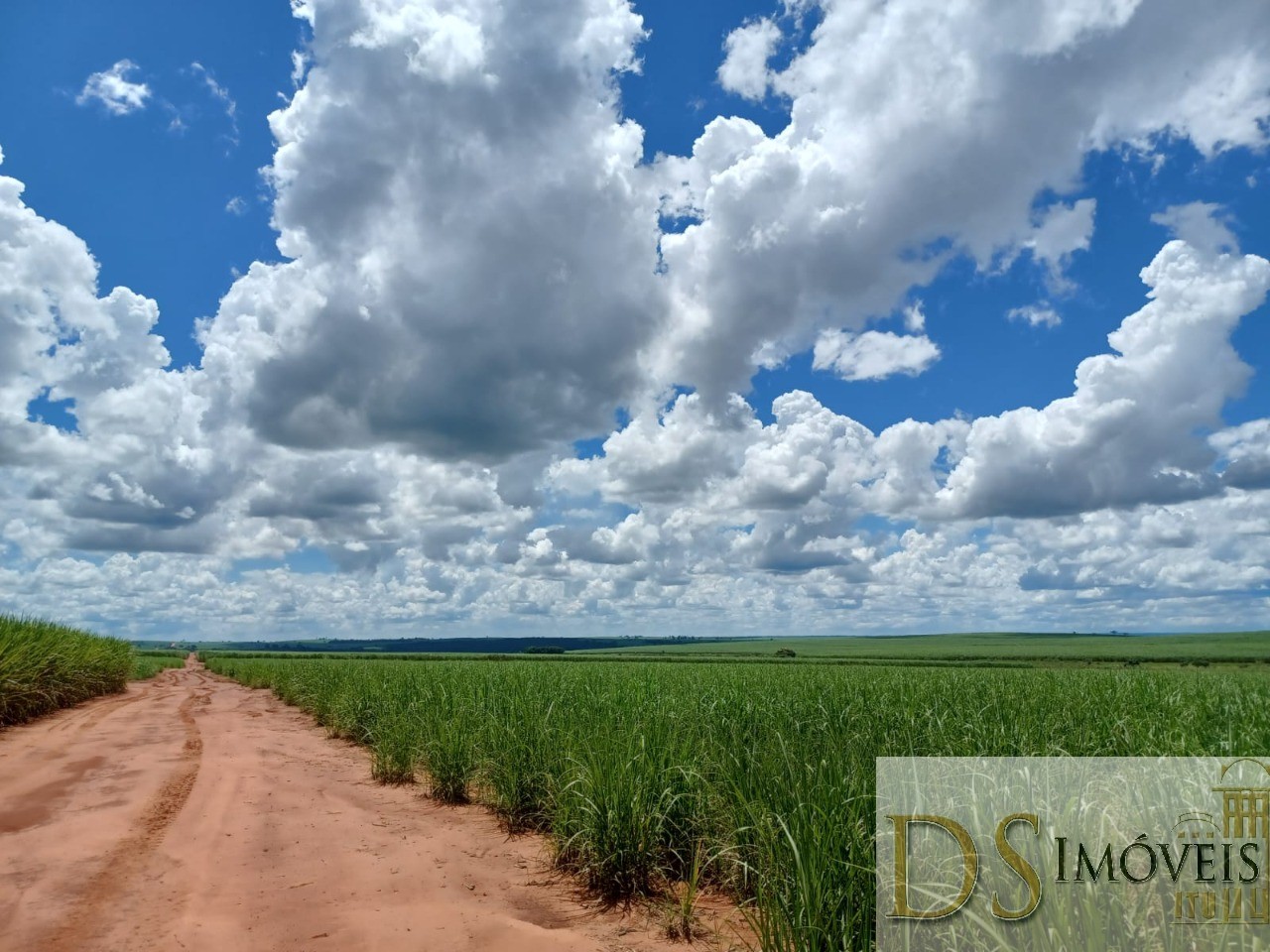 Fazenda em Pacaembu/São Paulo — Ref D8C5MS — Imagem 2