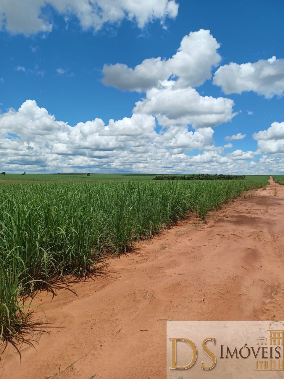 Fazenda em Pacaembu/São Paulo — Ref D8C5MS — Imagem 6