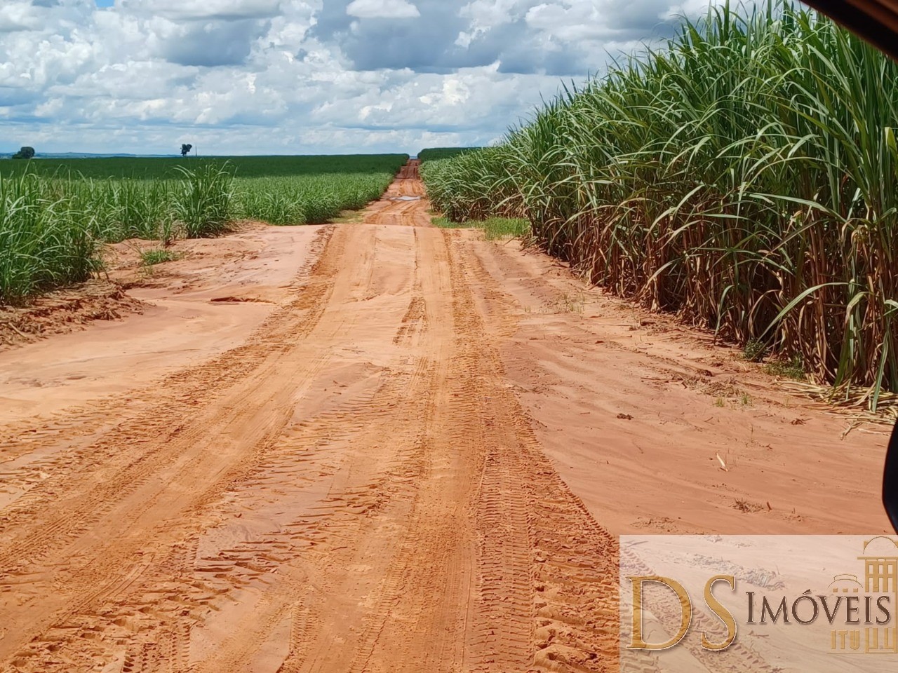 Fazenda em Pacaembu/São Paulo — Ref D8C5MS — Imagem 19