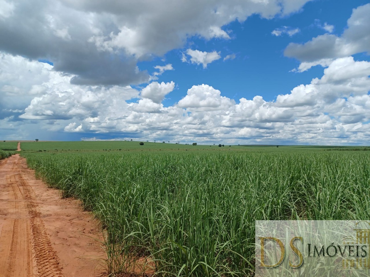 Fazenda em Pacaembu/São Paulo — Ref D8C5MS — Imagem 11