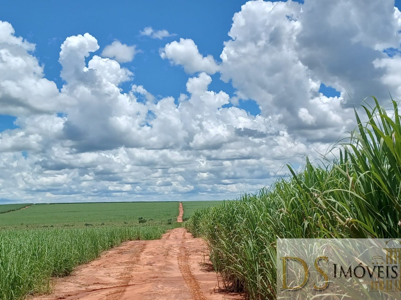 Fazenda em Pacaembu/São Paulo — Ref D8C5MS — Imagem 15