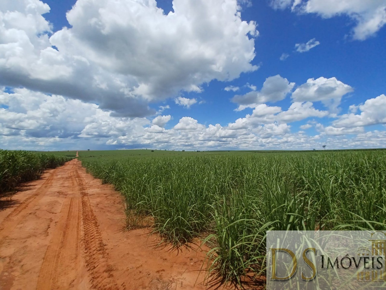 Fazenda em Pacaembu/São Paulo — Ref D8C5MS — Imagem 10