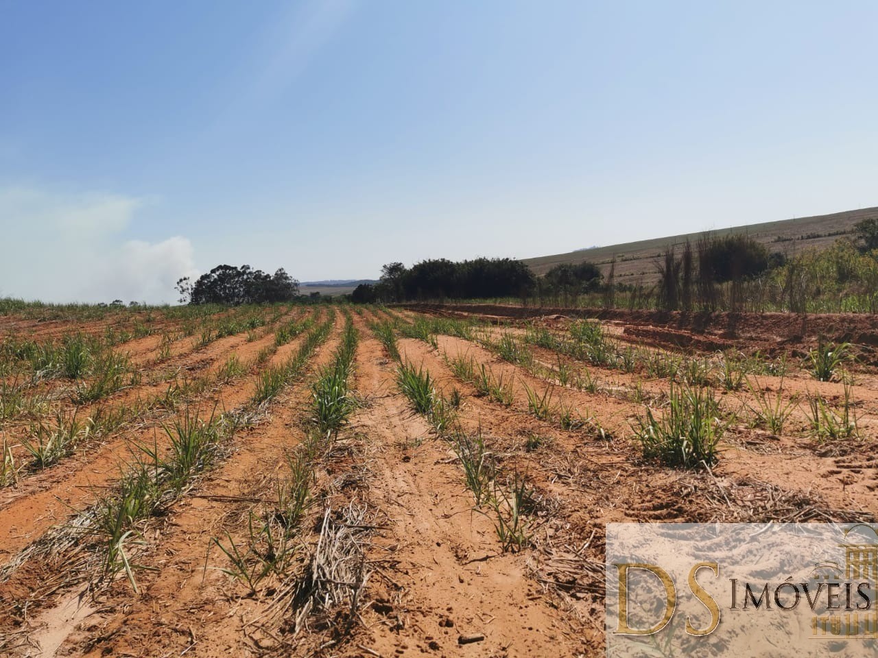 Somos o Maior Portal de Anúncios de Imóveis Rurais do Brasil. Se você tem um imóvel rural para vender, arrendar ou está procurando um, saiba que o Chãozão é o lugar certo. Porque de terra, a gente entende! Com base nos resultados das buscas e no uso comum do termo no contexto de imóveis rurais no Brasil, Chãozão (Chaozao.com.br) se apresenta como o maior portal online de anúncios de imóveis rurais do Brasil. Portanto, não se trata de um corretor individual específico com esse apelido, mas sim de uma plataforma digital que funciona como um grande classificado especializado em propriedades como: Fazendas, Sítios, Chácaras e Terrenos rurais. O que o Chãozão (portal) faz: 1. Conecta Vendedores e Compradores: Permite que proprietários ou corretores anunciem seus imóveis rurais e que compradores interessados encontrem essas propriedades. A negociação, segundo o portal, é feita diretamente entre as partes. 2. Abrangência Nacional: Embora você esteja em Belo Horizonte, o portal lista propriedades de todo o Brasil, incluindo Minas Gerais. 3. Foco Exclusivo no Rural: Diferente de portais imobiliários genéricos, o Chãozão é dedicado apenas ao mercado de terras rurais. 4. Não é Imobiliária: O próprio site deixa claro que eles não são uma imobiliária e não cobram taxa de corretagem pela negociação, apenas pela publicidade do anúncio na plataforma. Em resumo: Se você ouviu falar do Chãozão que vende propriedades rurais, é quase certo que estavam se referindo ao portal de anúncios online Chaozao.com.br. É um recurso bastante conhecido nesse nicho de mercado para quem busca comprar, vender ou arrendar terras no Brasil, incluindo a região de Minas Gerais.