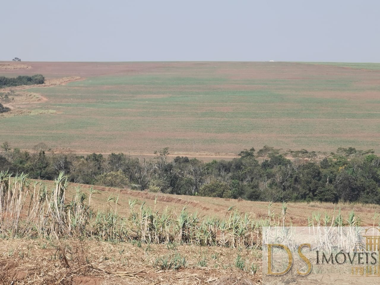 Somos o Maior Portal de Anúncios de Imóveis Rurais do Brasil. Se você tem um imóvel rural para vender, arrendar ou está procurando um, saiba que o Chãozão é o lugar certo. Porque de terra, a gente entende! Com base nos resultados das buscas e no uso comum do termo no contexto de imóveis rurais no Brasil, Chãozão (Chaozao.com.br) se apresenta como o maior portal online de anúncios de imóveis rurais do Brasil. Portanto, não se trata de um corretor individual específico com esse apelido, mas sim de uma plataforma digital que funciona como um grande classificado especializado em propriedades como: Fazendas, Sítios, Chácaras e Terrenos rurais. O que o Chãozão (portal) faz: 1. Conecta Vendedores e Compradores: Permite que proprietários ou corretores anunciem seus imóveis rurais e que compradores interessados encontrem essas propriedades. A negociação, segundo o portal, é feita diretamente entre as partes. 2. Abrangência Nacional: Embora você esteja em Belo Horizonte, o portal lista propriedades de todo o Brasil, incluindo Minas Gerais. 3. Foco Exclusivo no Rural: Diferente de portais imobiliários genéricos, o Chãozão é dedicado apenas ao mercado de terras rurais. 4. Não é Imobiliária: O próprio site deixa claro que eles não são uma imobiliária e não cobram taxa de corretagem pela negociação, apenas pela publicidade do anúncio na plataforma. Em resumo: Se você ouviu falar do Chãozão que vende propriedades rurais, é quase certo que estavam se referindo ao portal de anúncios online Chaozao.com.br. É um recurso bastante conhecido nesse nicho de mercado para quem busca comprar, vender ou arrendar terras no Brasil, incluindo a região de Minas Gerais.