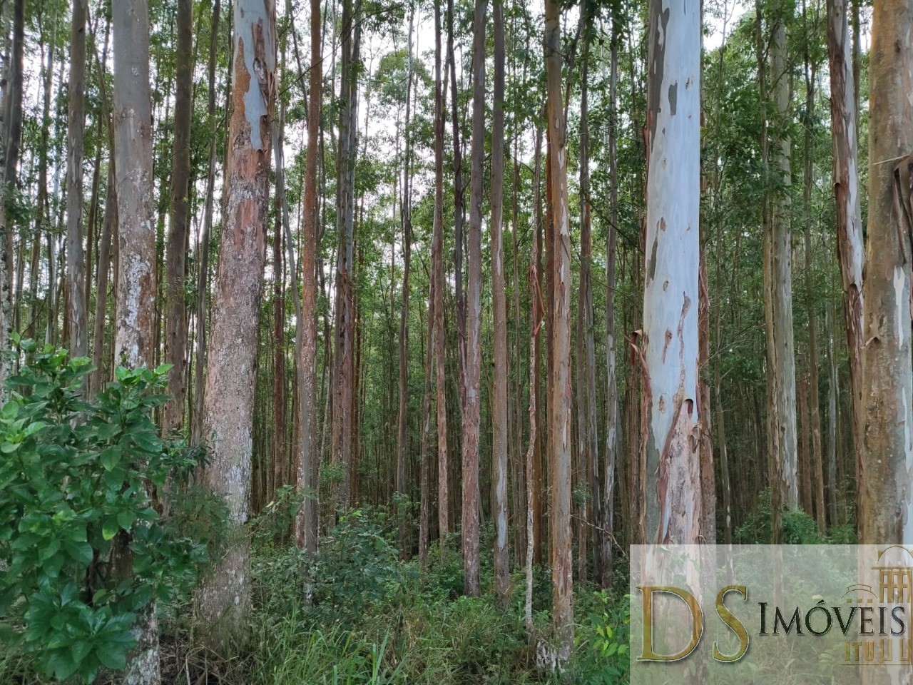 Fazenda em Guapiara/São Paulo — Ref WG7L73 — Imagem 5