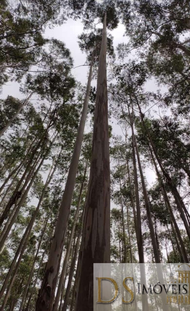 Fazenda em Guapiara/São Paulo — Ref WG7L73 — Imagem 4