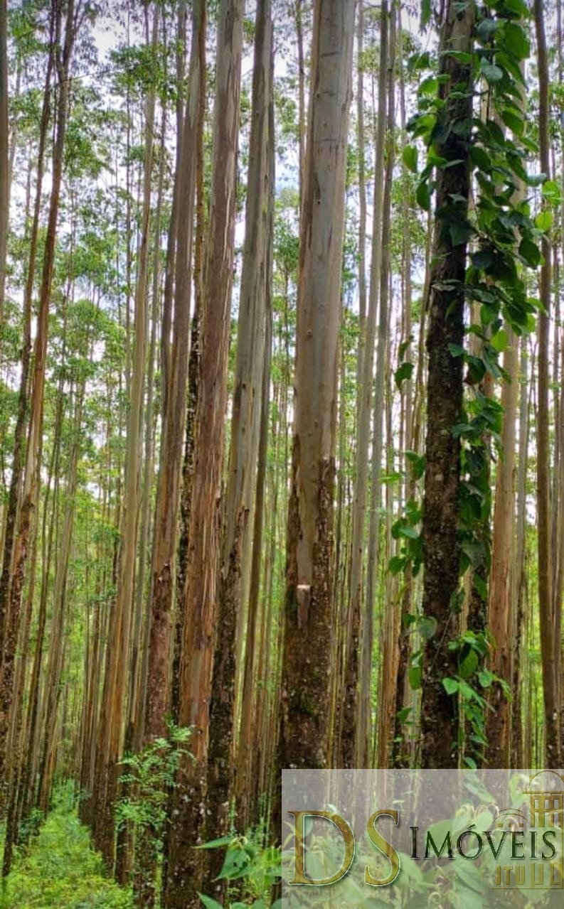 Fazenda em Guapiara/São Paulo — Ref WG7L73 — Imagem 8