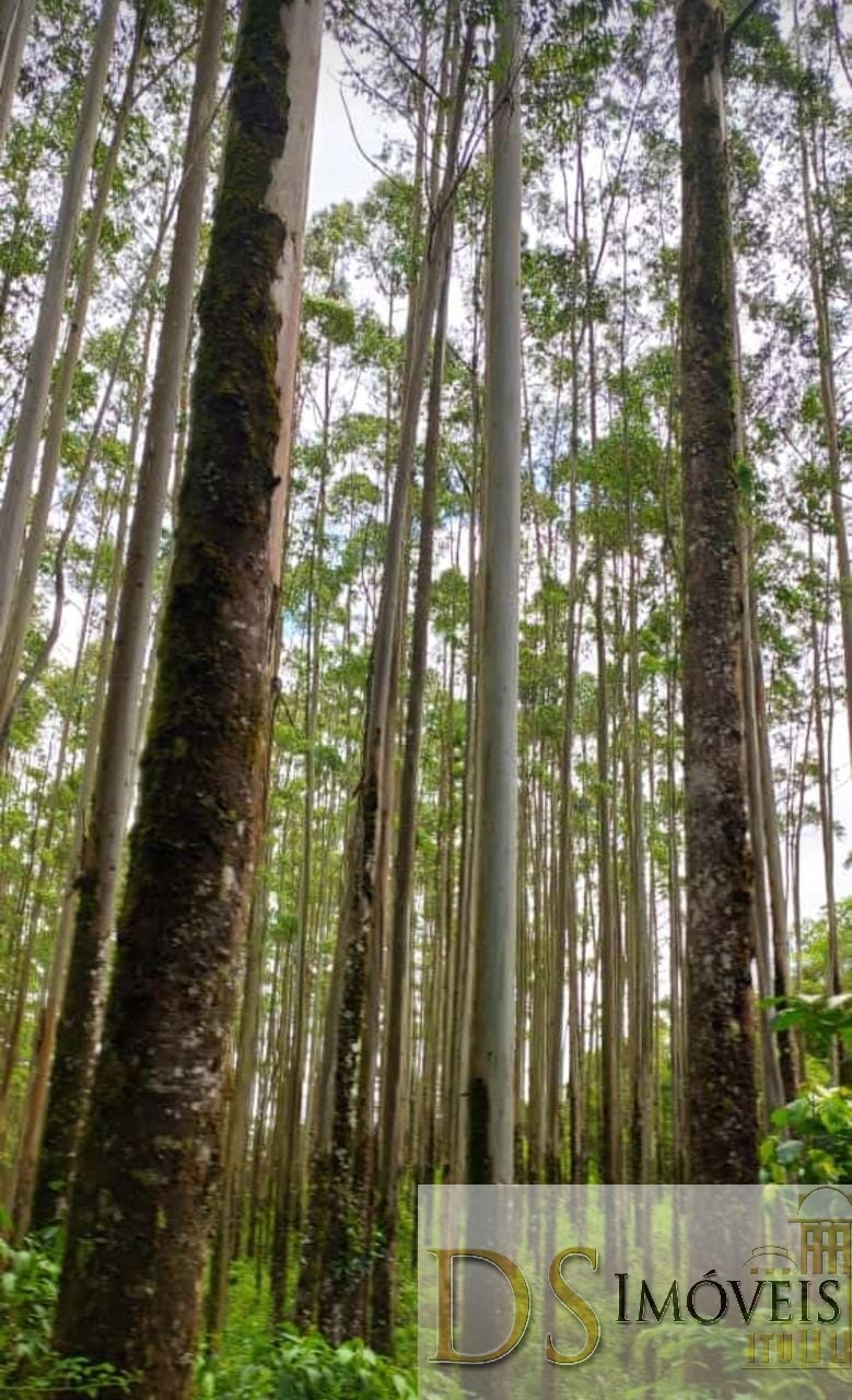 Fazenda em Guapiara/São Paulo — Ref WG7L73 — Imagem 9