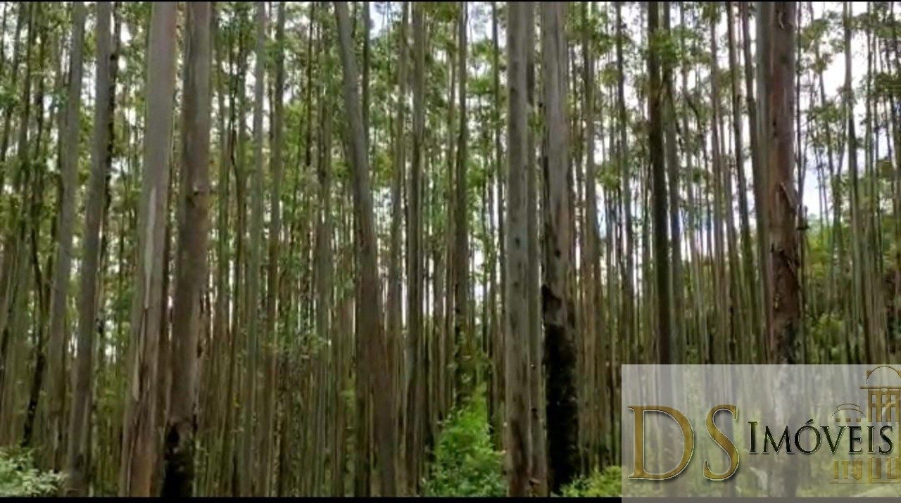 Fazenda em Guapiara/São Paulo — Ref WG7L73 — Imagem 7