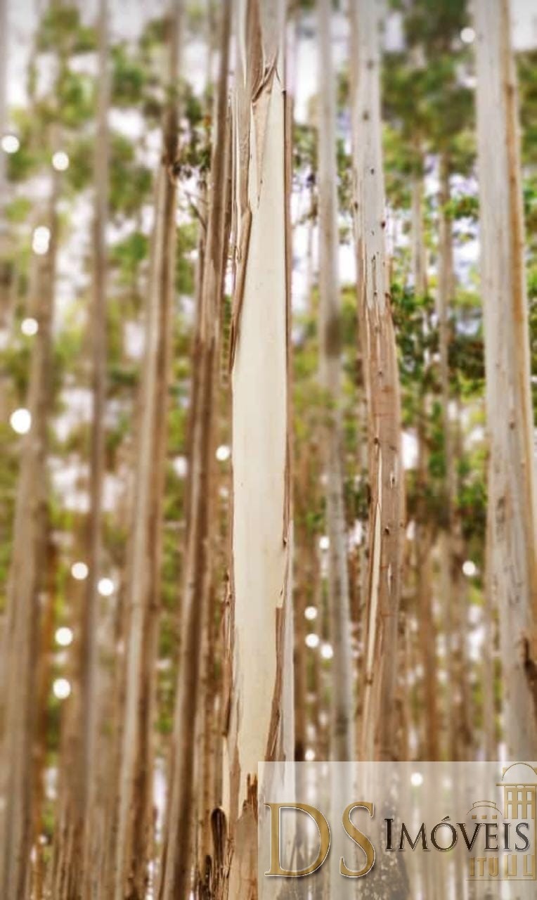 Fazenda em Guapiara/São Paulo — Ref WG7L73 — Imagem 10