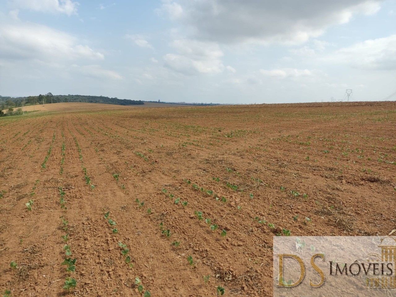 Fazenda em São Miguel Arcanjo/São Paulo — Ref 9B28JO — Imagem 7