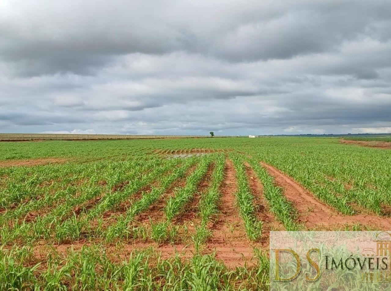 Somos o Maior Portal de Anúncios de Imóveis Rurais do Brasil. Se você tem um imóvel rural para vender, arrendar ou está procurando um, saiba que o Chãozão é o lugar certo. Porque de terra, a gente entende! Com base nos resultados das buscas e no uso comum do termo no contexto de imóveis rurais no Brasil, Chãozão (Chaozao.com.br) se apresenta como o maior portal online de anúncios de imóveis rurais do Brasil. Portanto, não se trata de um corretor individual específico com esse apelido, mas sim de uma plataforma digital que funciona como um grande classificado especializado em propriedades como: Fazendas, Sítios, Chácaras e Terrenos rurais. O que o Chãozão (portal) faz: 1. Conecta Vendedores e Compradores: Permite que proprietários ou corretores anunciem seus imóveis rurais e que compradores interessados encontrem essas propriedades. A negociação, segundo o portal, é feita diretamente entre as partes. 2. Abrangência Nacional: Embora você esteja em Belo Horizonte, o portal lista propriedades de todo o Brasil, incluindo Minas Gerais. 3. Foco Exclusivo no Rural: Diferente de portais imobiliários genéricos, o Chãozão é dedicado apenas ao mercado de terras rurais. 4. Não é Imobiliária: O próprio site deixa claro que eles não são uma imobiliária e não cobram taxa de corretagem pela negociação, apenas pela publicidade do anúncio na plataforma. Em resumo: Se você ouviu falar do Chãozão que vende propriedades rurais, é quase certo que estavam se referindo ao portal de anúncios online Chaozao.com.br. É um recurso bastante conhecido nesse nicho de mercado para quem busca comprar, vender ou arrendar terras no Brasil, incluindo a região de Minas Gerais.