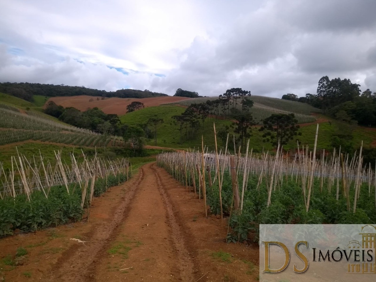 Somos o Maior Portal de Anúncios de Imóveis Rurais do Brasil. Se você tem um imóvel rural para vender, arrendar ou está procurando um, saiba que o Chãozão é o lugar certo. Porque de terra, a gente entende! Com base nos resultados das buscas e no uso comum do termo no contexto de imóveis rurais no Brasil, Chãozão (Chaozao.com.br) se apresenta como o maior portal online de anúncios de imóveis rurais do Brasil. Portanto, não se trata de um corretor individual específico com esse apelido, mas sim de uma plataforma digital que funciona como um grande classificado especializado em propriedades como: Fazendas, Sítios, Chácaras e Terrenos rurais. O que o Chãozão (portal) faz: 1. Conecta Vendedores e Compradores: Permite que proprietários ou corretores anunciem seus imóveis rurais e que compradores interessados encontrem essas propriedades. A negociação, segundo o portal, é feita diretamente entre as partes. 2. Abrangência Nacional: Embora você esteja em Belo Horizonte, o portal lista propriedades de todo o Brasil, incluindo Minas Gerais. 3. Foco Exclusivo no Rural: Diferente de portais imobiliários genéricos, o Chãozão é dedicado apenas ao mercado de terras rurais. 4. Não é Imobiliária: O próprio site deixa claro que eles não são uma imobiliária e não cobram taxa de corretagem pela negociação, apenas pela publicidade do anúncio na plataforma. Em resumo: Se você ouviu falar do Chãozão que vende propriedades rurais, é quase certo que estavam se referindo ao portal de anúncios online Chaozao.com.br. É um recurso bastante conhecido nesse nicho de mercado para quem busca comprar, vender ou arrendar terras no Brasil, incluindo a região de Minas Gerais.