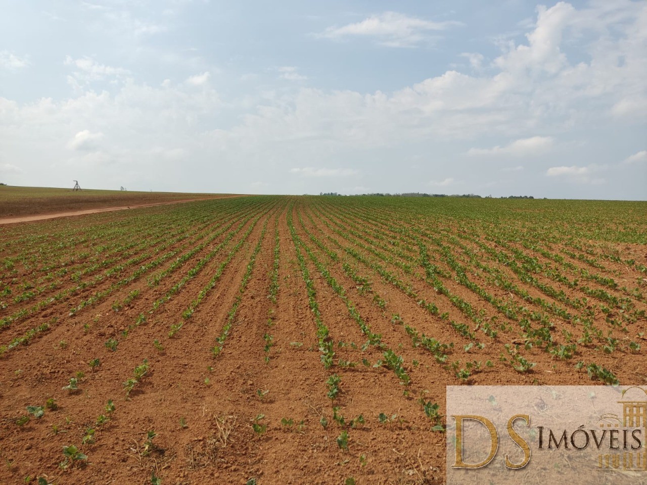 Fazenda em São Miguel Arcanjo/São Paulo — Ref 9B28JO — Imagem 10